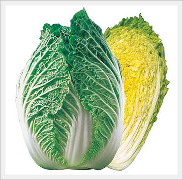 Chinese Cabbage Seeds Made in Korea